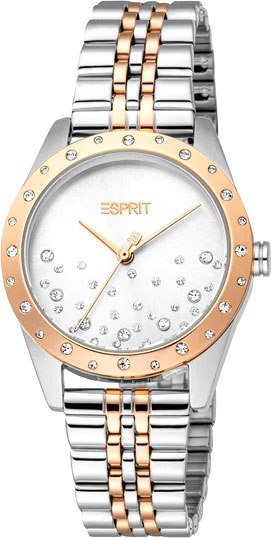 

Наручные часы Esprit ES1L405M0075