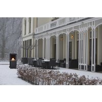 Биокамин Faber theBUZZ