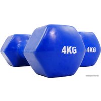 Набор гантелей Protrain TA-2103-4 2x4 кг