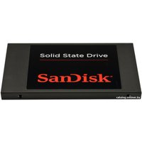 SSD SanDisk 256GB (SDSSDP-256G-G25)