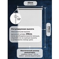 Рулонные шторы Sundays Home LM 167-01 52х215 (белый)