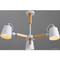 Люстра средней высоты Arte Lamp Oscar A7141PL-3WH