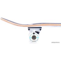 Скейтборд Tempish Blue Wolf