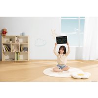 Планшет для рисования Xiaomi LCD Writing Tablet 13.5" Color Edition