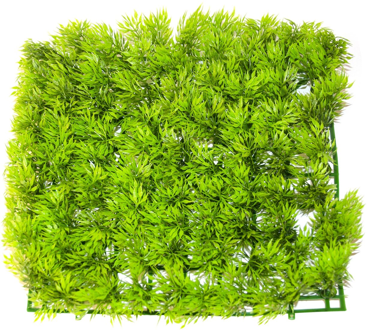 

Фон Lucky Reptile Flora Mat FM-86