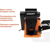 Шлифовальный станок Gigant BDSJ 100/152CI