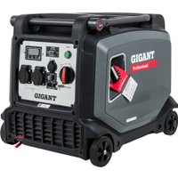 Бензиновый генератор Gigant GPIGL-3800E