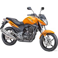 Мотоцикл Stels Flex 250