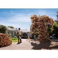 Аккумуляторная пила STIHL MSA 120 C-BQ (без АКБ и зарядки)