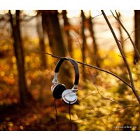 Наушники Sony MDR-V300