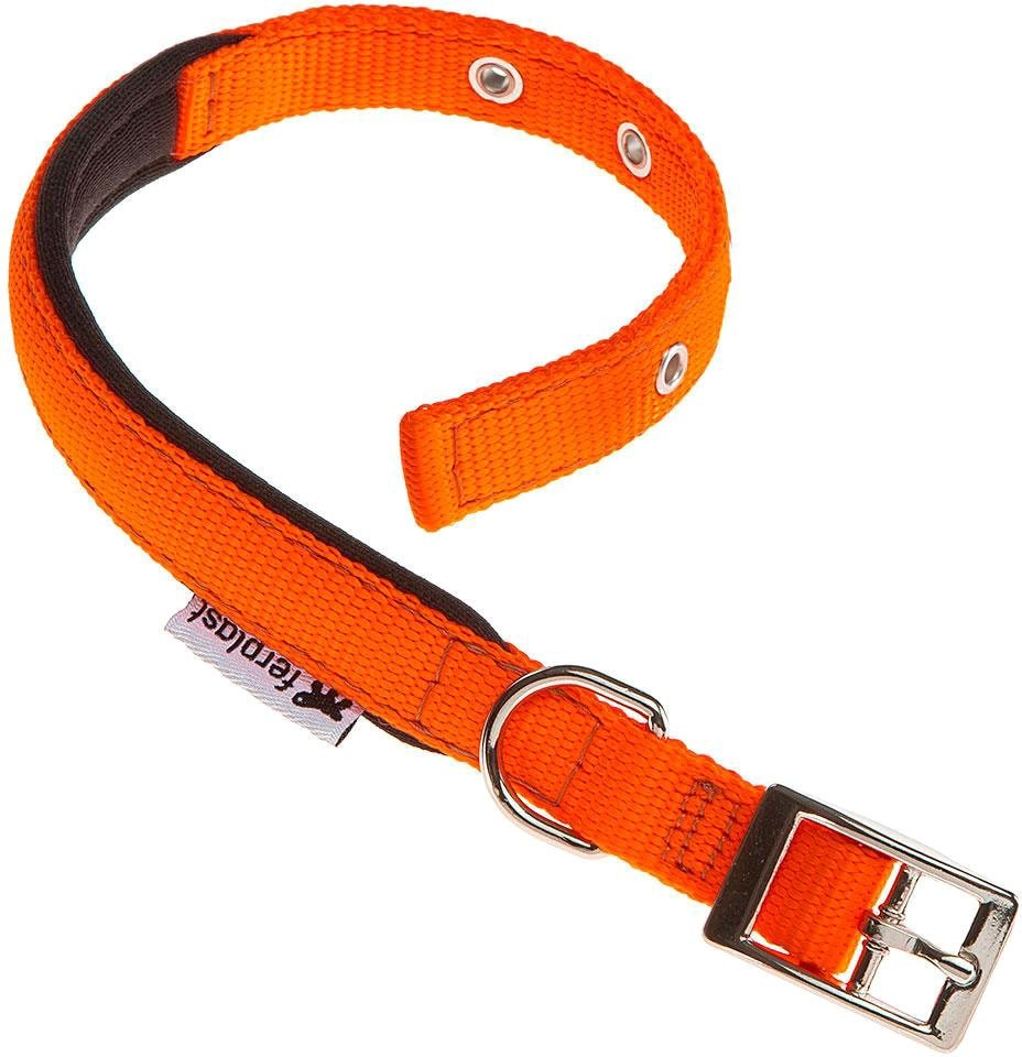 

Ошейник Ferplast Daytona C20/43 75246939 (оранжевый)