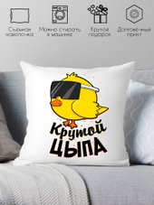 Крутой цыпа 40x40plat16