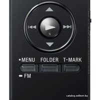 Диктофон Sony ICD-UX533 (черный)