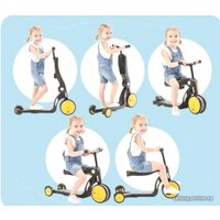 Трехколесный самокат Pituso HD-200 (голубой)