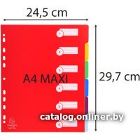 Разделитель документов Exacompta Maxi 4806E (ассорти)