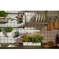 Умный сад CACTUS CS-LEDPOT-08