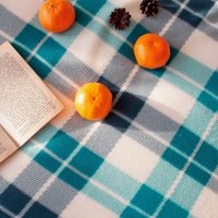 Плед Casa Conforte London 130x170 6155160 (изумрудный/синий)