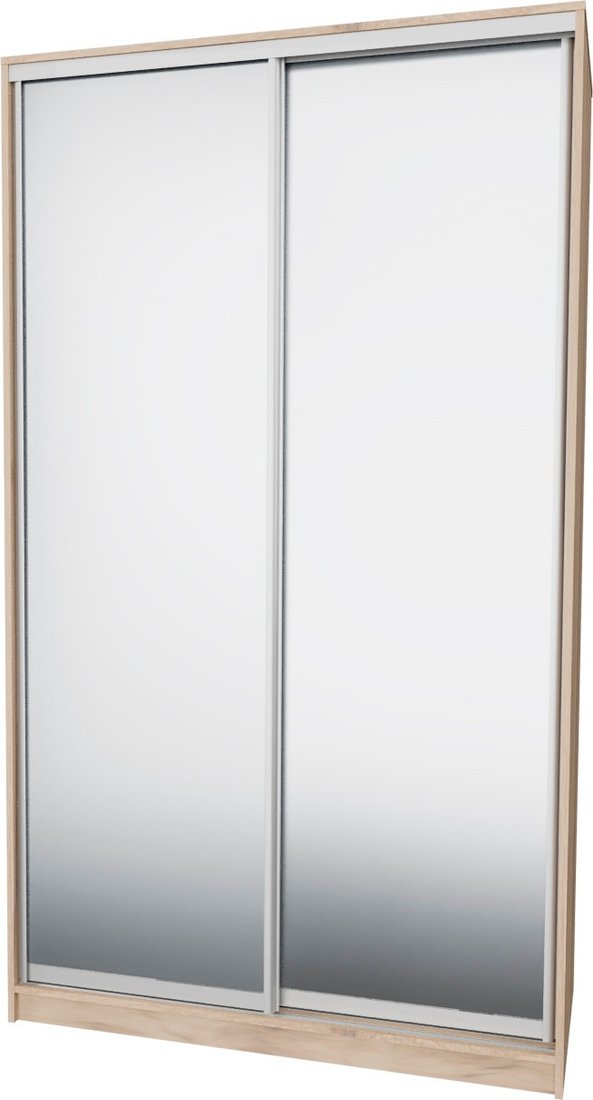 

Шкаф-купе Рэйгрупп 138450 EEX Elgon РГ-11.04 (дуб элисон/дуб элисон/хром)