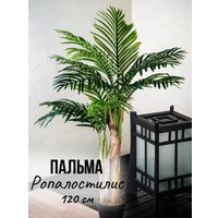 Искусственное растение Merry Bear Home Decor Пальма Ропалостилис Элит A153120 (120см)