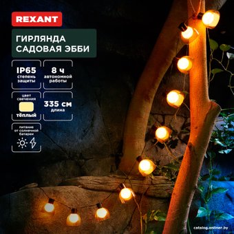 Светодиодная гирлянда Rexant Эбби 602-2419