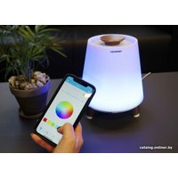 Беспроводная колонка Blaupunkt BT25LAMP