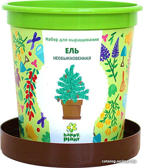 Набор для опытов Happy plant Ель необыкновенная hpn-10