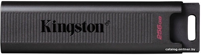 USB Flash Kingston DataTraveler Max Type-C 256GB