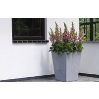 Кашпо Keter Beton Planter 242839