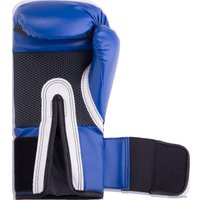 Тренировочные перчатки Everlast Pro Style Anti-MB 2212U (12 oz, синий)