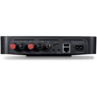 Сетевой усилитель Bluesound Powernode Edge (черный)