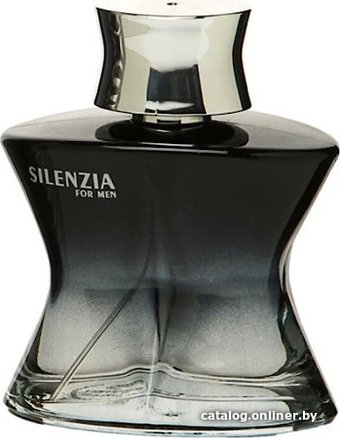 Туалетная вода Real Time Silenzia Men EdT (100 мл)