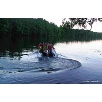 Лодочный мотор Honda BF5 AK2 SBU