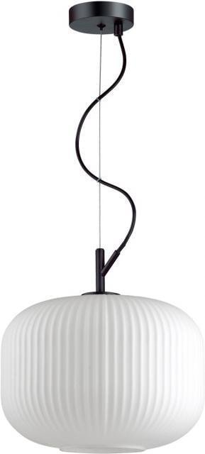 

Подвесная люстра Odeon Light Roofi 4754/1