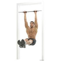 Турник TORNEO A-921L