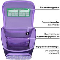 Школьный рюкзак Пифагор Basic. Happy Bear 272047