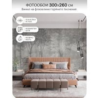 Фотообои Mio Tesoro Dark Side 34 (300x260)