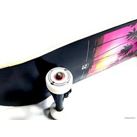 Скейтборд Z53 Miami 31.1"