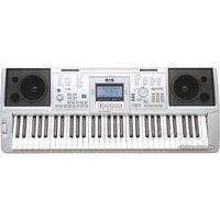 Синтезатор Pokar LP6210C