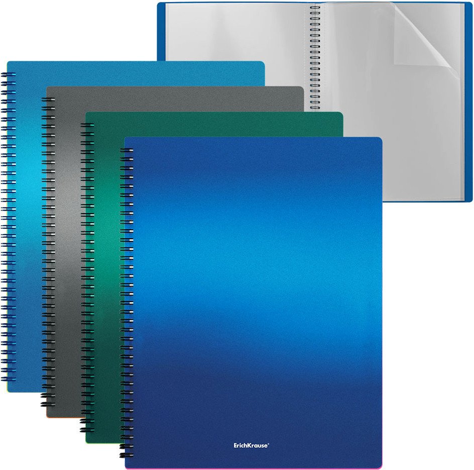 

Набор папок Erich Krause Matt Ice Metallic c 40 карман. 49962 (4 шт)