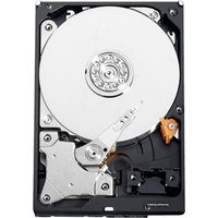 Жесткий диск WD AV 320GB (WD3200AVJS)