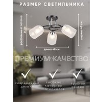 Припотолочная люстра Aitin Pro НПБ 02-3x60-101 K2246/3 (черный/хром)