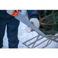 Ель HD Nordic Trees Фразера Датская Премиум (1.5-1.7 м, срезанная)