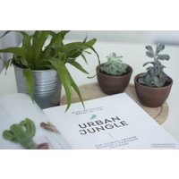 Книга издательства МИФ. Urban Jungle. Как создать уютный интерьер с помощью растений