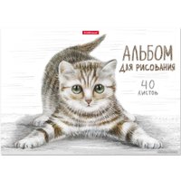 Альбом для рисования Erich Krause Tabby 49844