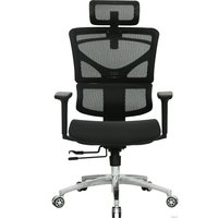 Офисное кресло Evolution ERGO Mesh (черный)