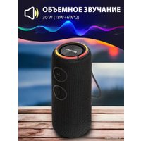 Беспроводная колонка Aiwa PAS-H300 (черный)