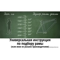 Велосипед AIST Cruiser 2.0 W р.19 2020