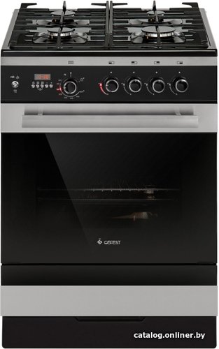 Кухонная плита GEFEST ПГ 6500-04 0169