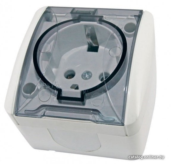 Розетка TDM Electric Селигер SQ1818-0007