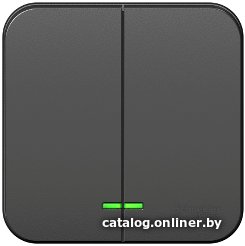 Выключатель Schneider Electric Blanca BLNVA105116